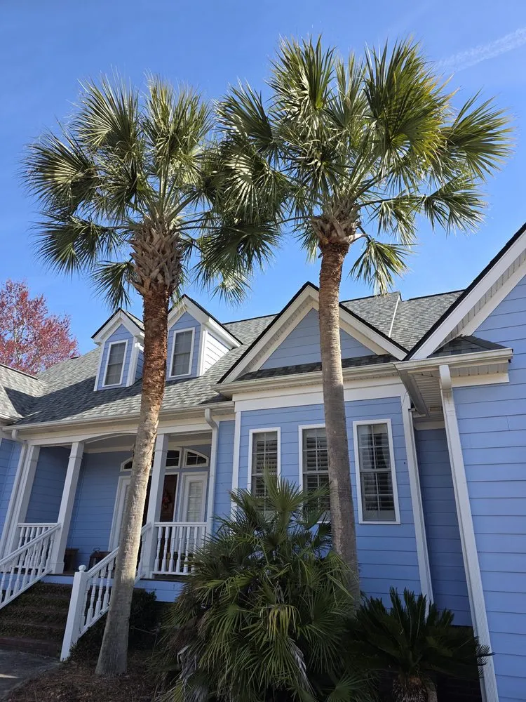 Custom landscape design for year-round maintenance across Johns Island, SC - Los Palm Services