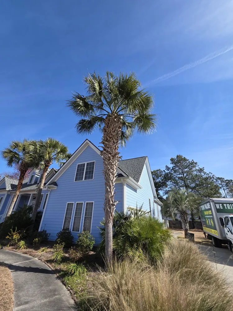 Top-rated residential landscaping in Johns Island, SC by Los Palm Services