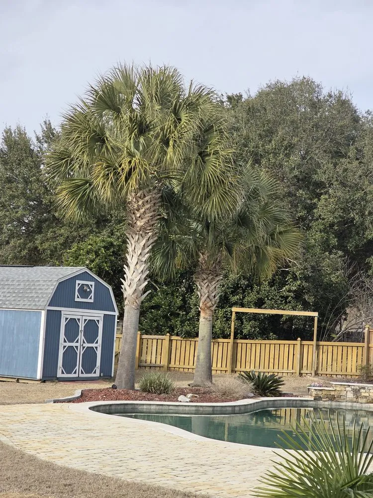 Custom landscape installation for year-round maintenance in Johns Island, SC by Los Palm Services