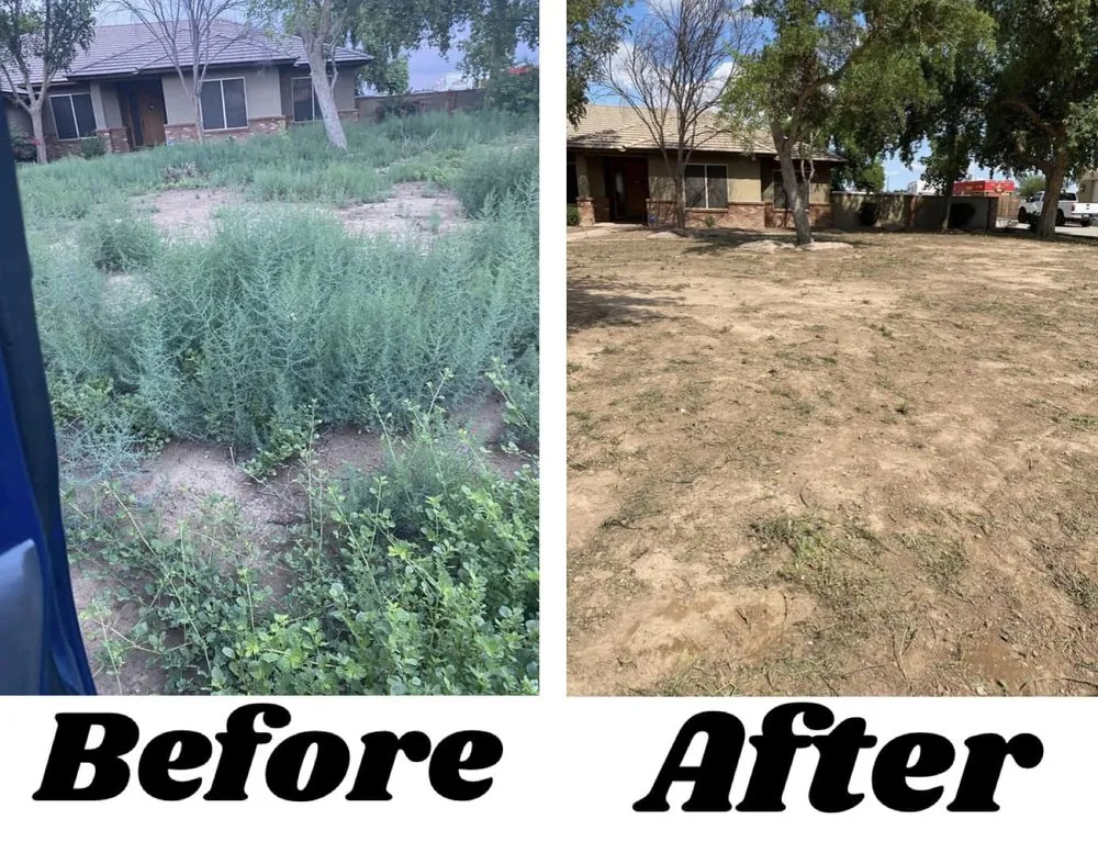 Local landscape design in Phoenix, AZ by Los Parientes Landscaping