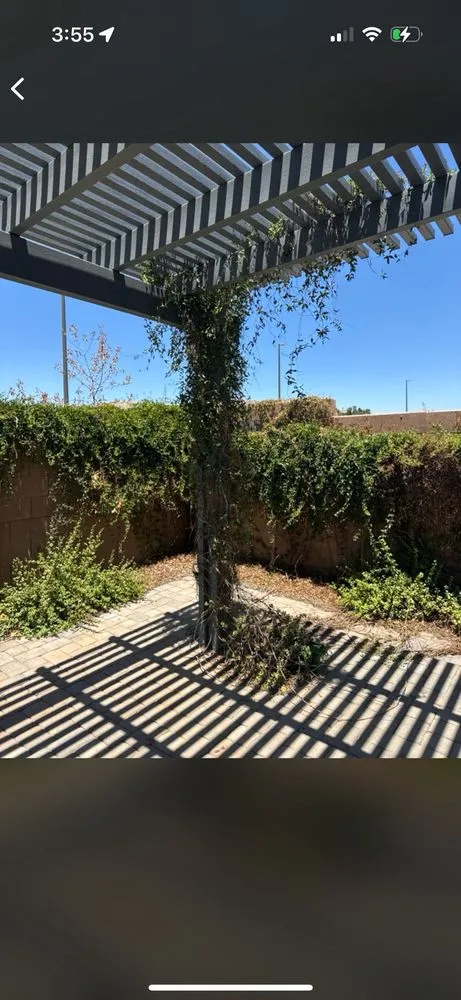 Professional landscape design for beautiful yards in Phoenix, AZ by Los Parientes Landscaping