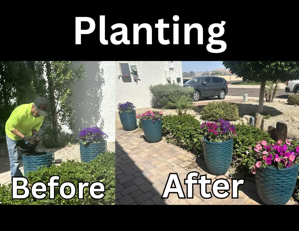 Custom yard cleanup service for residential properties across Phoenix, AZ - Los Parientes Landscaping