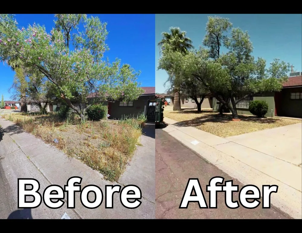 Local landscape installation in Phoenix, AZ - Los Parientes Landscaping
