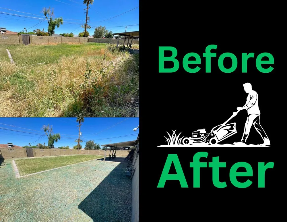 Trusted yard cleanup service experts serving Phoenix, AZ - Los Parientes Landscaping