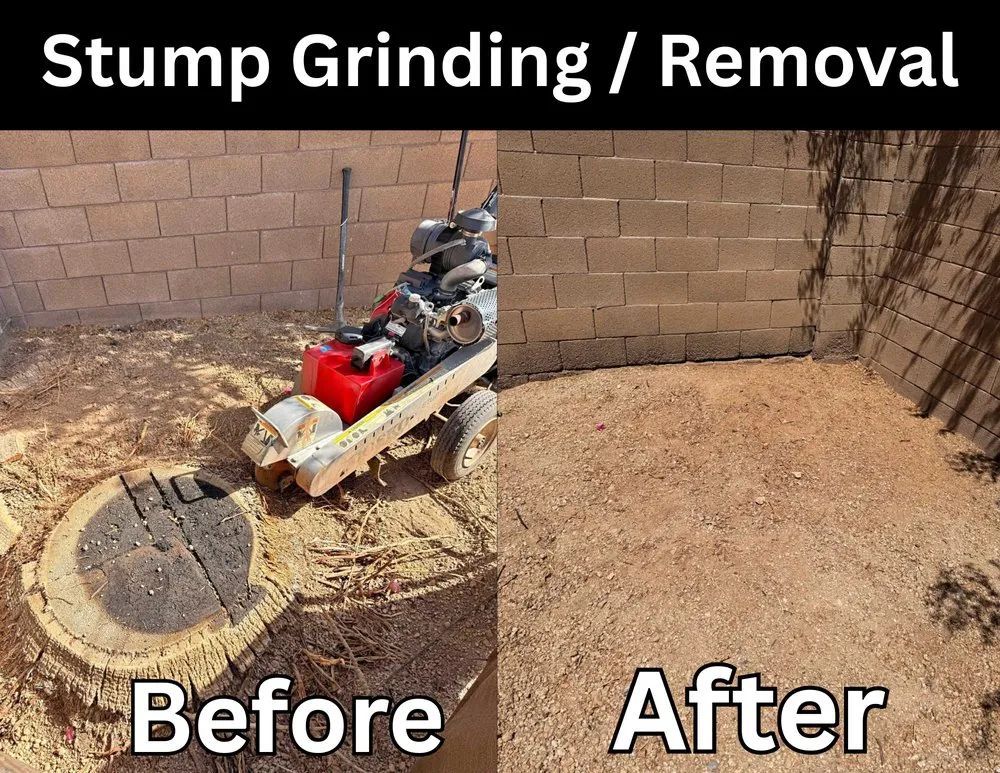 Custom yard maintenance in Phoenix, AZ by Los Parientes Landscaping