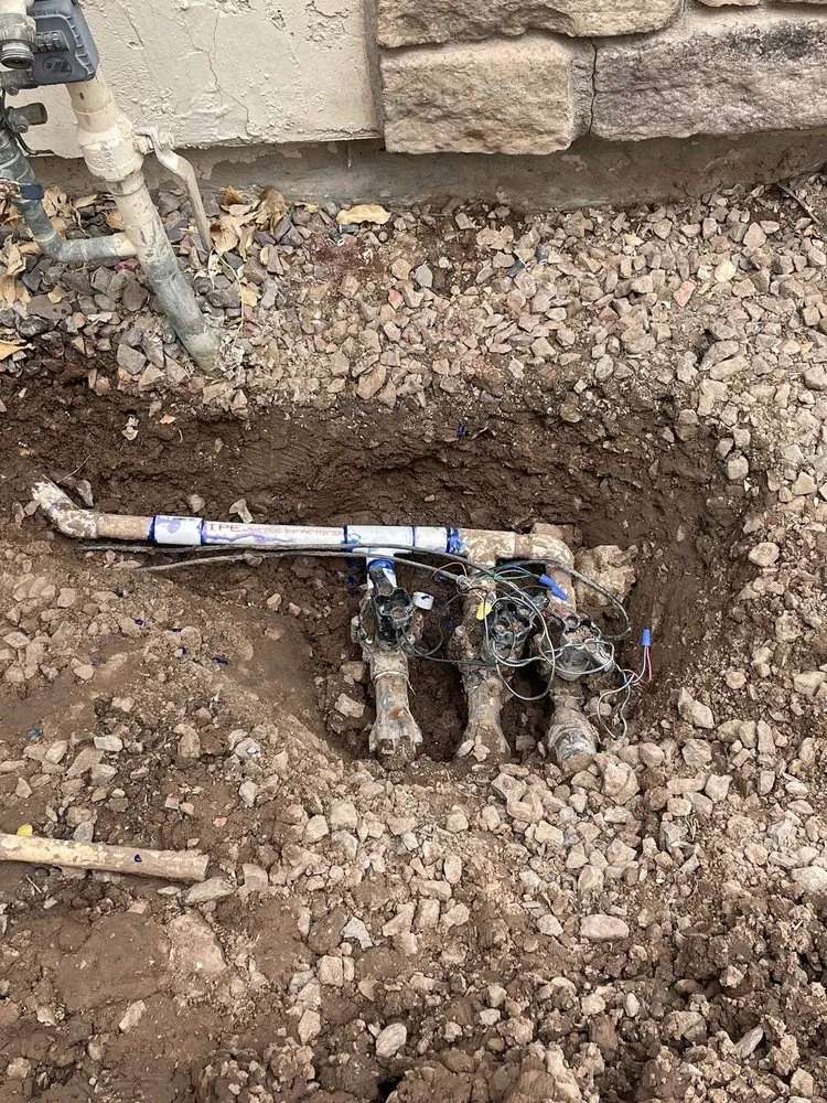 Custom yard maintenance for beautiful yards across Phoenix, AZ - Los Parientes Landscaping