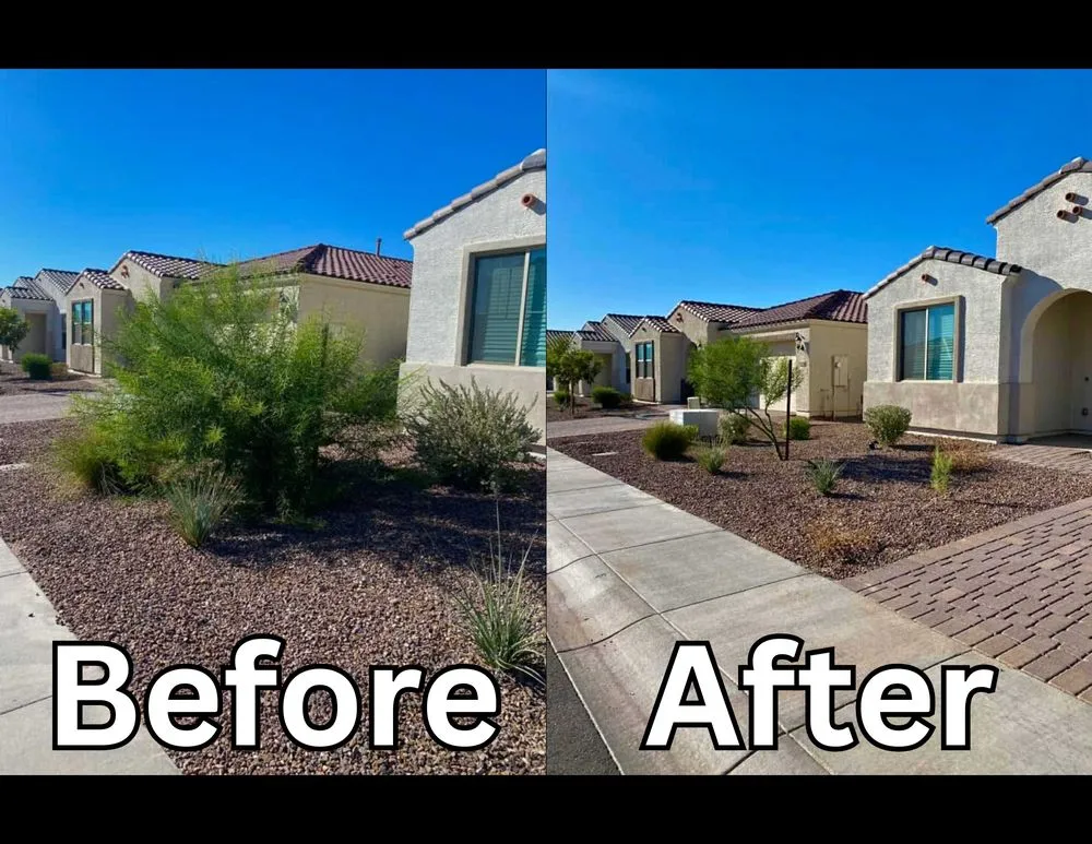 Reliable yard maintenance experts serving Phoenix, AZ - Los Parientes Landscaping