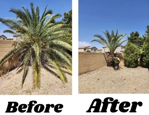 Los Parientes Landscaping Logo