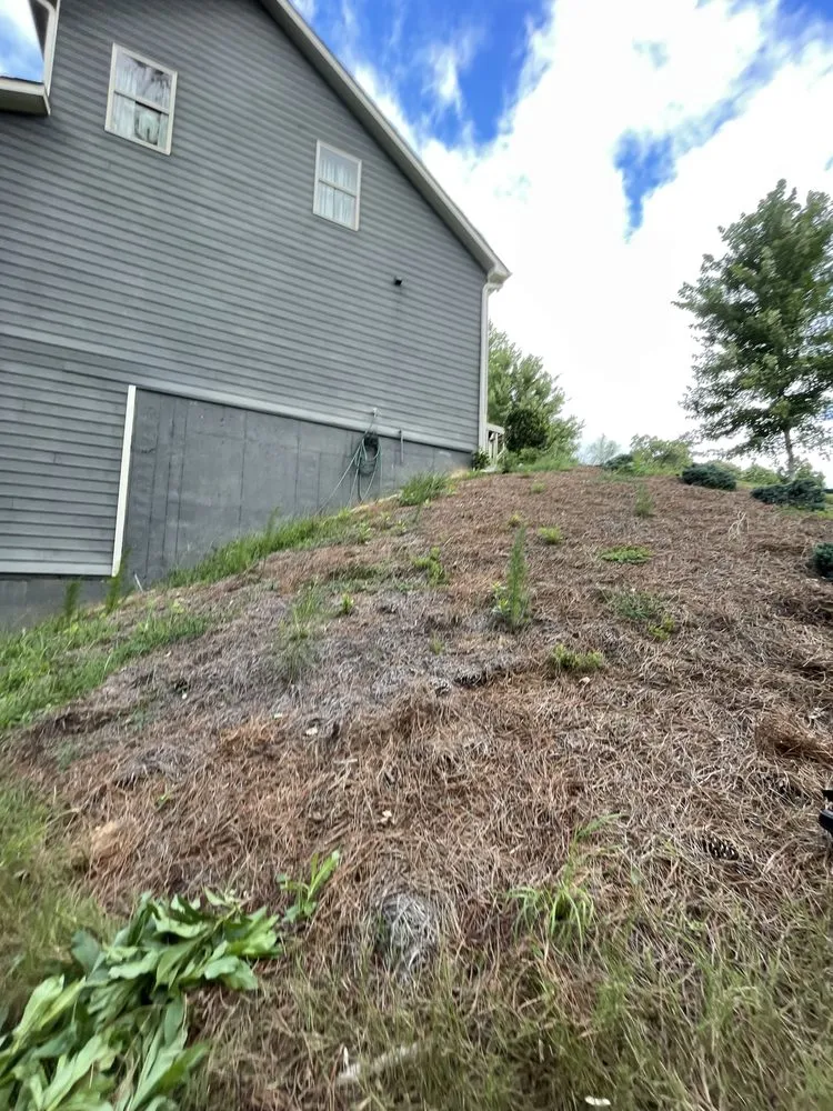 Affordable outdoor landscaping near you across Dallas, GA - Los Patrones Lawncare