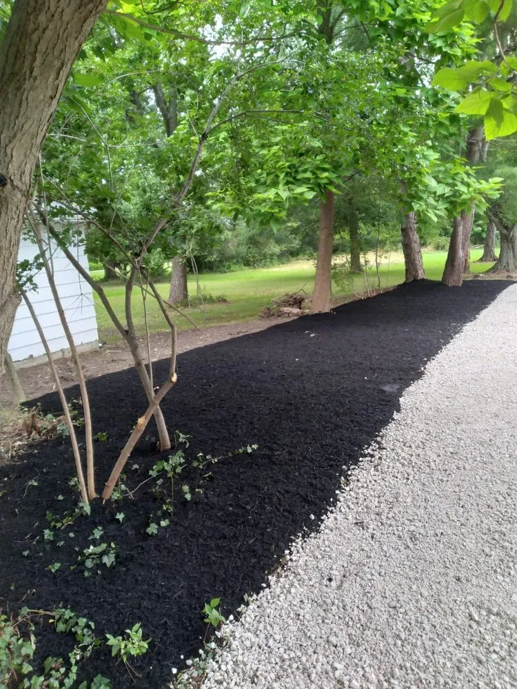 Custom yard maintenance in Cleveland, OH by Los Primos Landscape