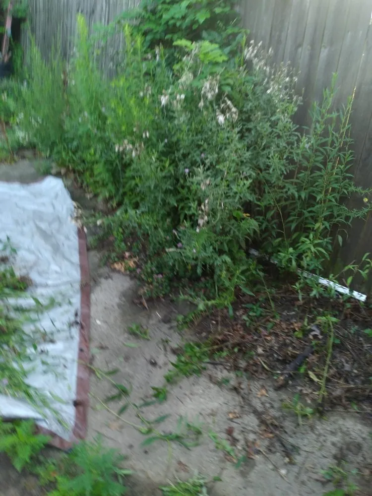 Reliable landscape design for outdoor upgrades in Cleveland, OH by Los Primos Landscape