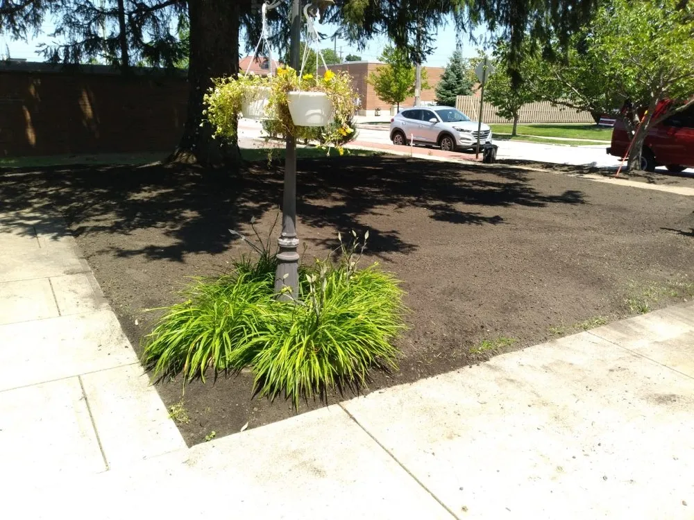 Reliable lawn care service in Cleveland, OH by Los Primos Landscape