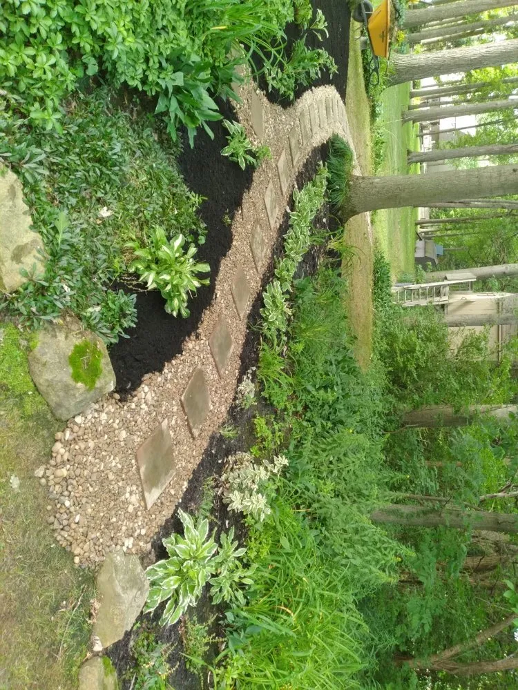 Expert yard cleanup service in Cleveland, OH by Los Primos Landscape