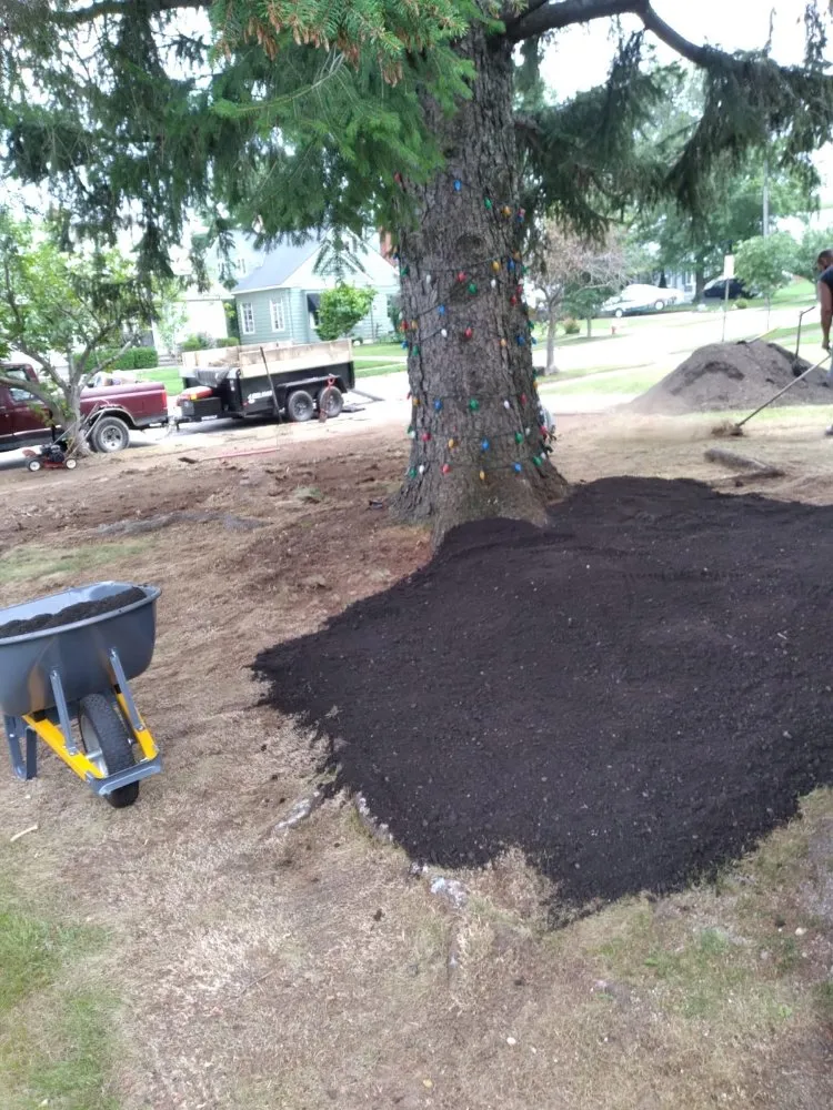 Professional lawn care service in Cleveland, OH - Los Primos Landscape