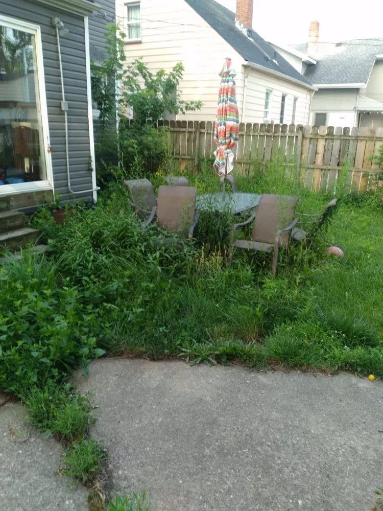 Affordable outdoor landscaping for outdoor upgrades in Cleveland, OH by Los Primos Landscape