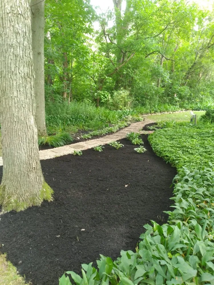 Reliable lawn mowing service for beautiful yards across Cleveland, OH - Los Primos Landscape