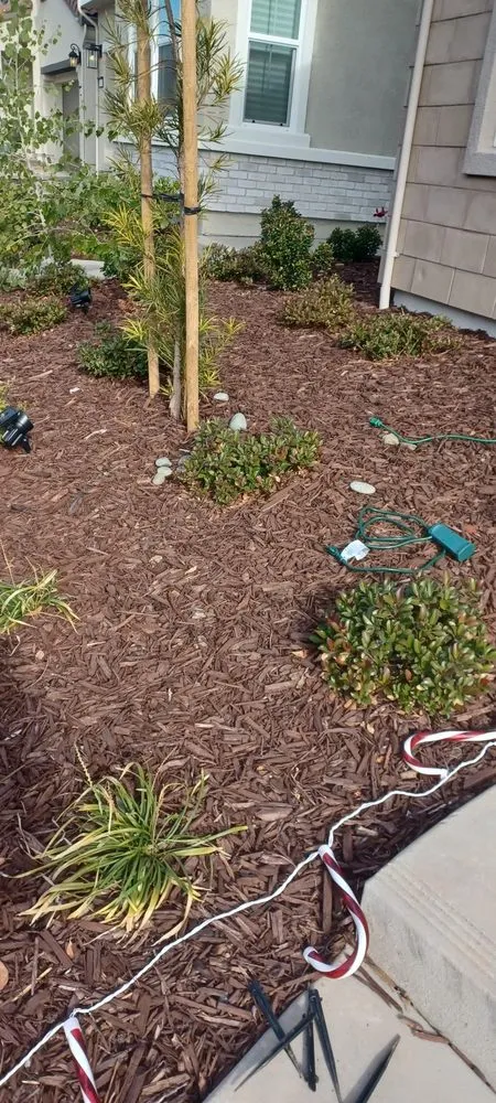 Reliable landscape design for year-round maintenance in Sacramento, CA by Los primos Landscaping