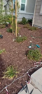 Los primos Landscaping Logo