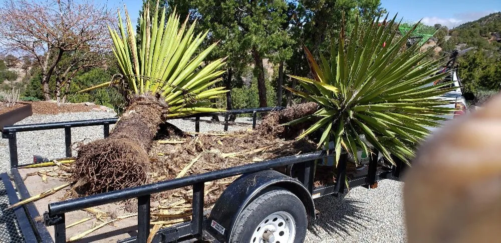 Professional lawn mowing service with custom design in Santa Fe, NM by Los Primos Landscaping