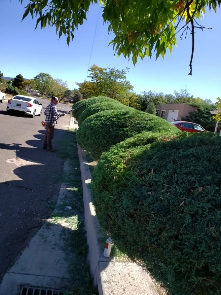 Professional landscape installation for beautiful yards in Santa Fe, NM by Los Primos Landscaping