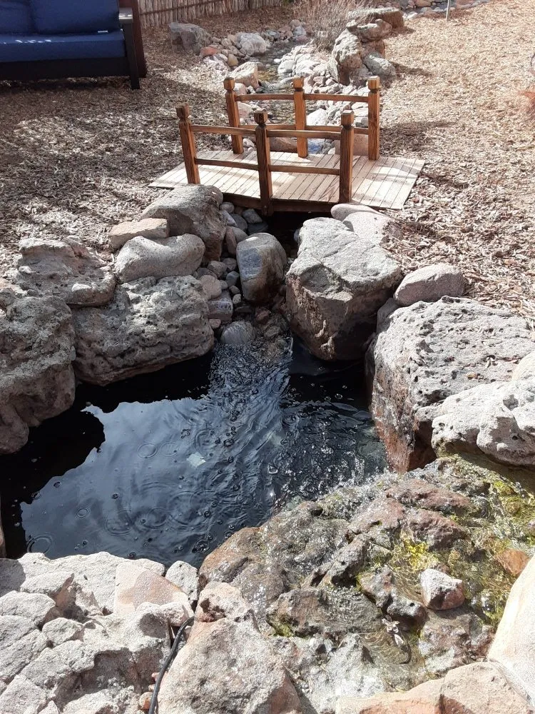 Professional landscaping services for residential properties in Santa Fe, NM by Los Primos Landscaping