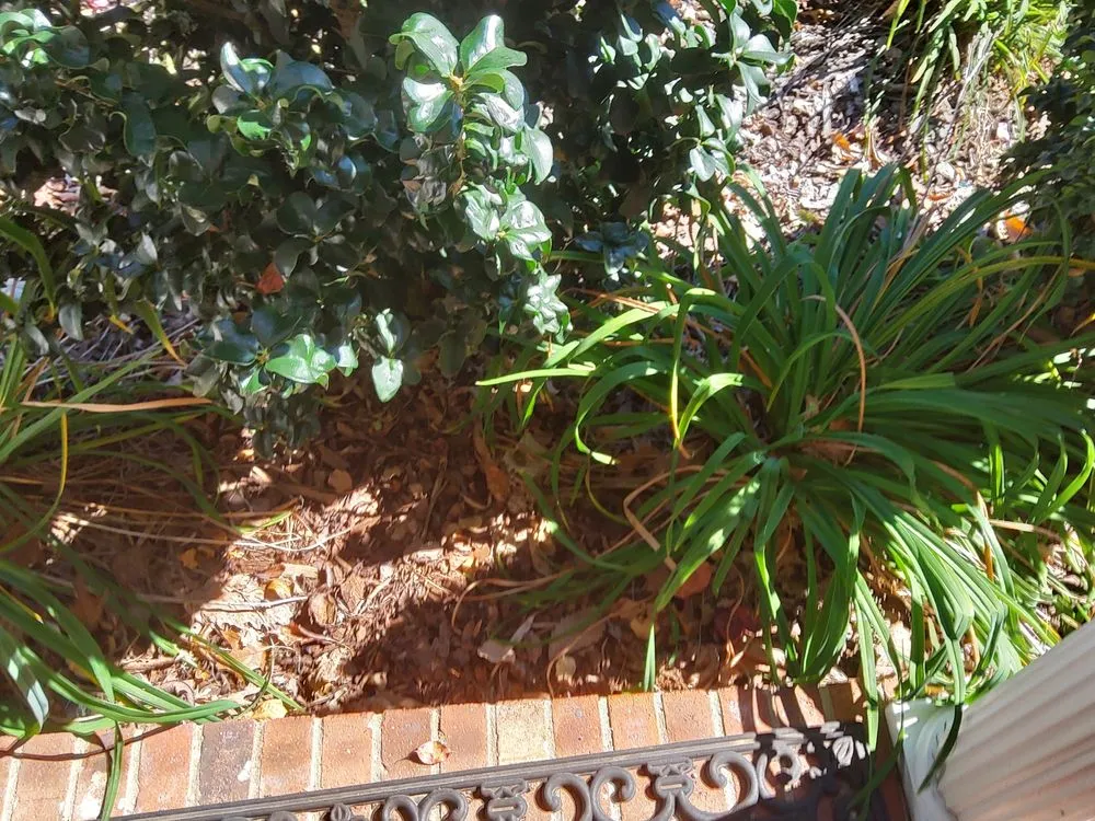 Custom garden landscaping for residential properties in Santa Fe, NM by Los Primos Landscaping