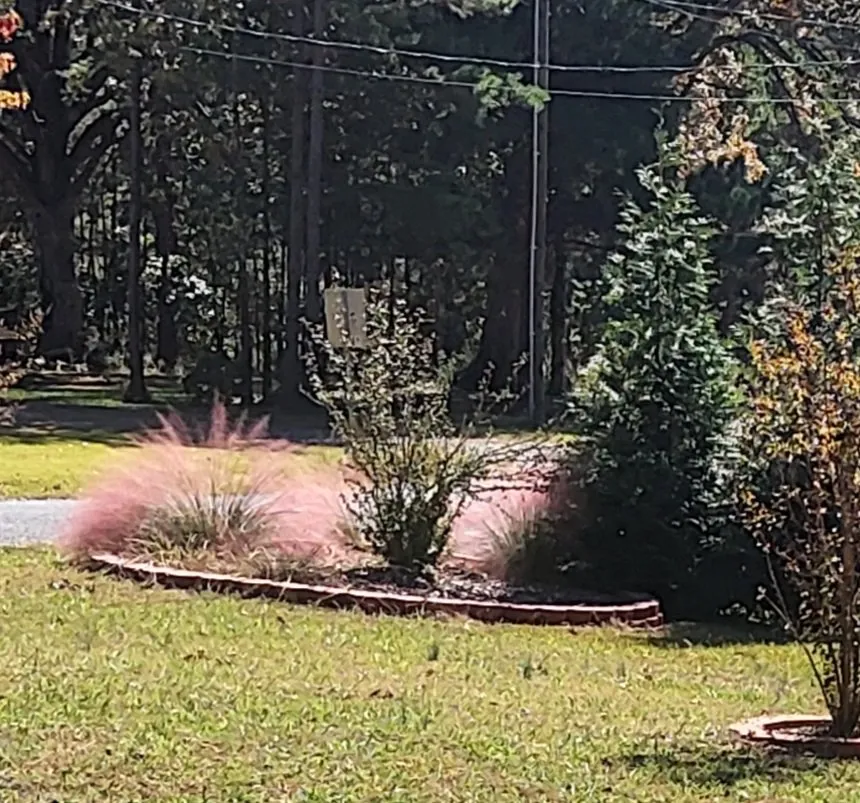 Expert residential landscaping near you in Santa Fe, NM by Los Primos Landscaping