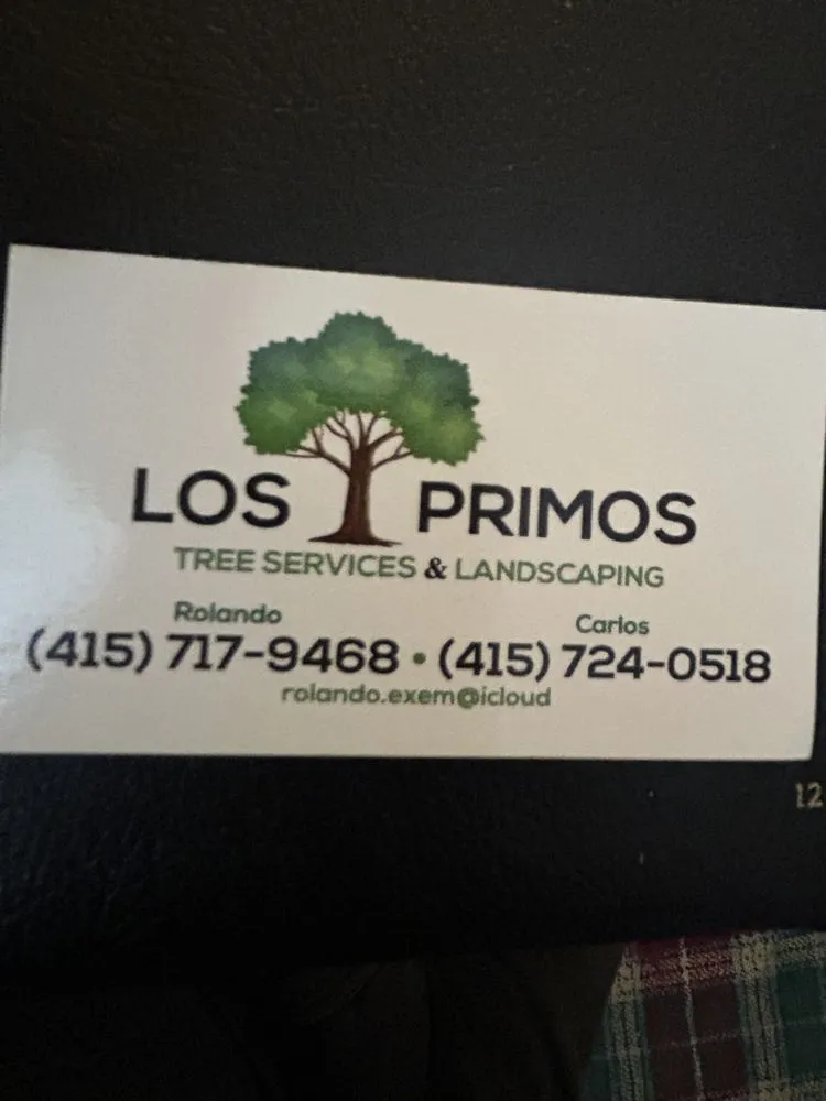 Custom yard maintenance for outdoor upgrades in San Rafael, CA by Los Primos