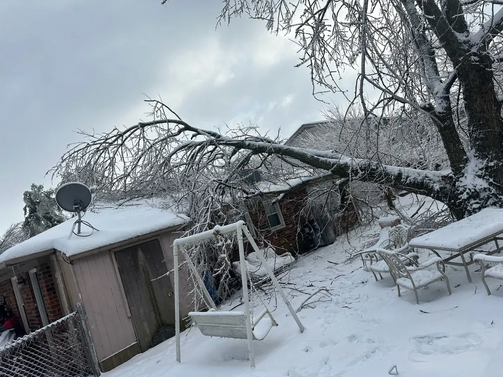 Custom outdoor landscaping for residential properties in Lexington, KY by Los Primos Tree Service And Landscaping