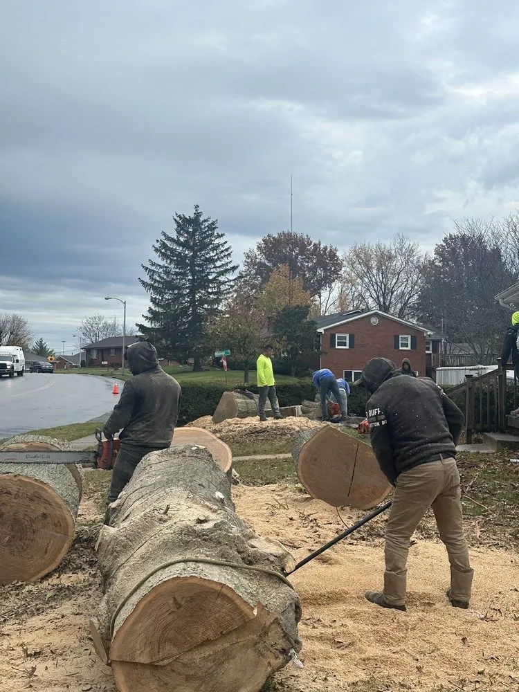 Reliable lawn care service in Lexington, KY by Los Primos Tree Service And Landscaping