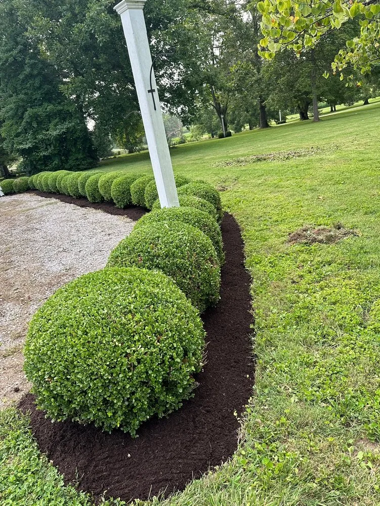 Custom yard cleanup service near you in Lexington, KY by Los Primos Tree Service And Landscaping