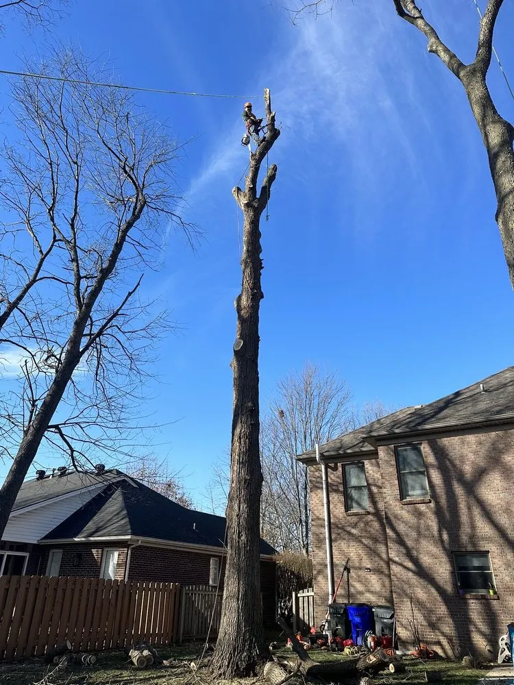 Professional outdoor landscaping in Lexington, KY - Los Primos Tree Service And Landscaping