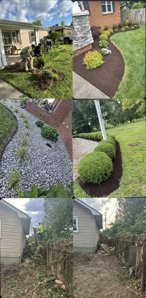 Trusted yard maintenance in Lexington, KY by Los Primos Tree Service And Landscaping