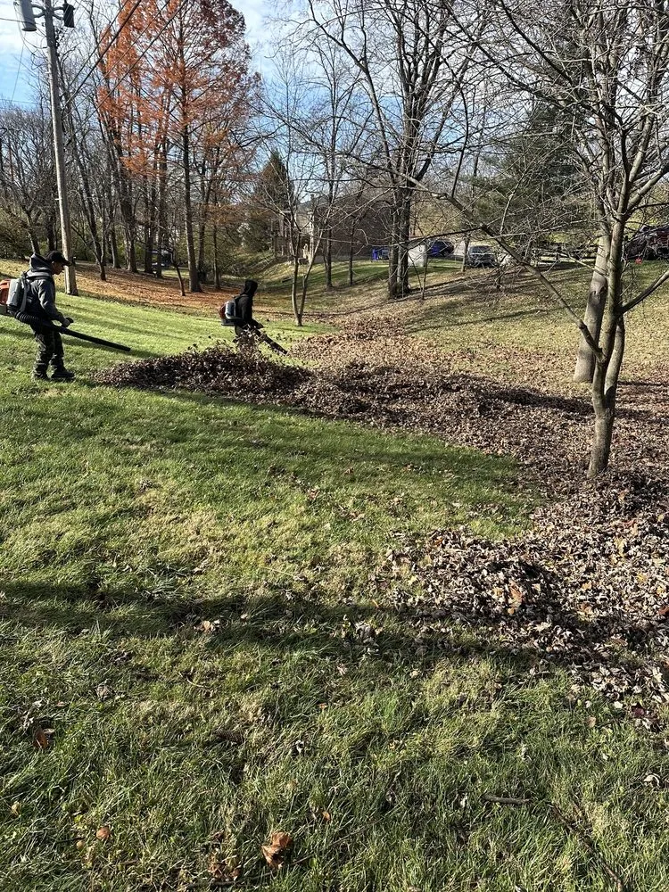 Expert yard cleanup service in Lexington, KY - Los Primos Tree Service And Landscaping