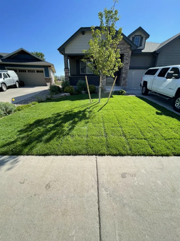 Expert yard maintenance in Fort Collins, CO by Los Rangel’s Landscaping