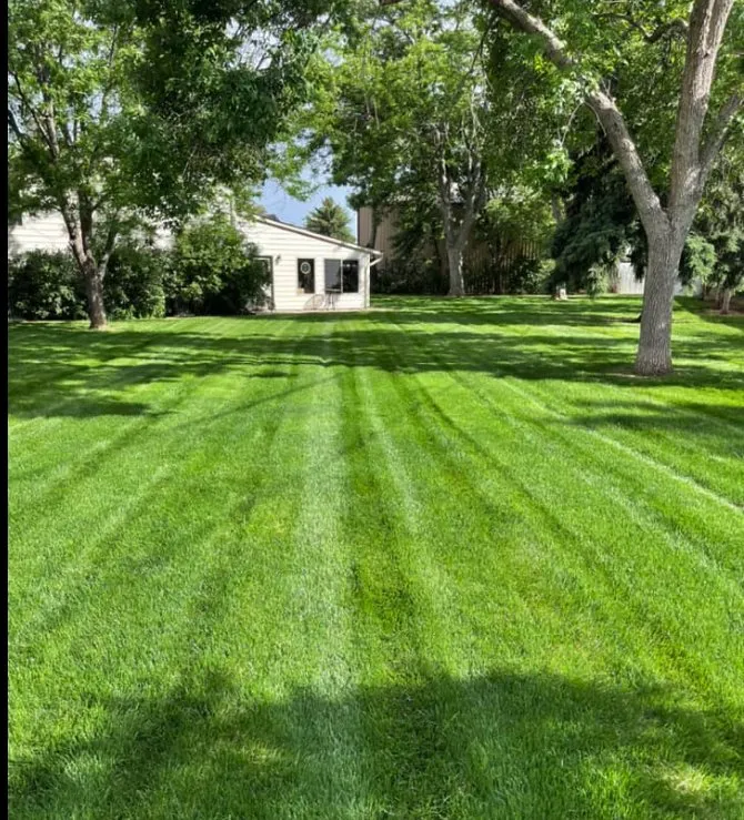 Trusted lawn mowing service for outdoor upgrades across Fort Collins, CO - Los Rangel’s Landscaping