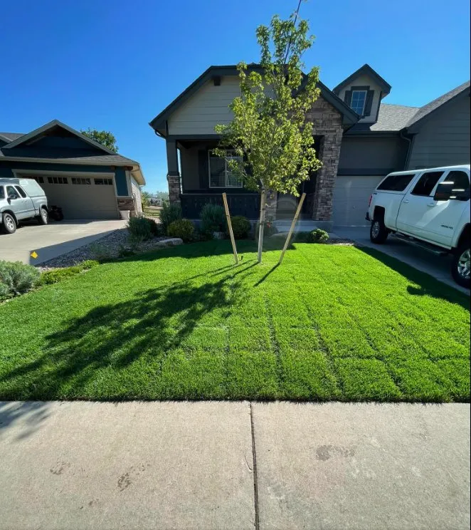 Custom yard maintenance experts serving Fort Collins, CO - Los Rangel’s Landscaping