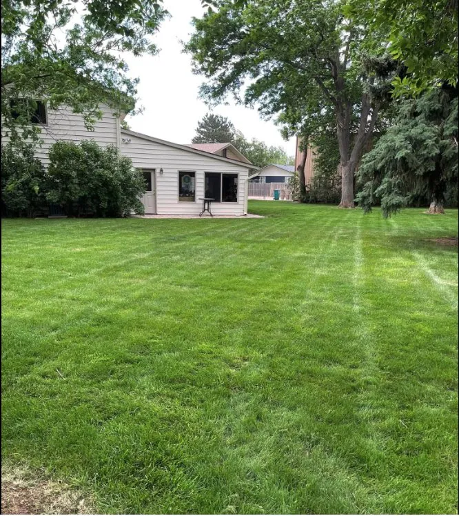 Reliable landscape installation in Fort Collins, CO by Los Rangel’s Landscaping