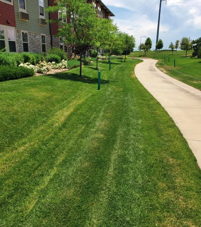 Affordable lawn mowing service in Fort Collins, CO by Los Rangel’s Landscaping