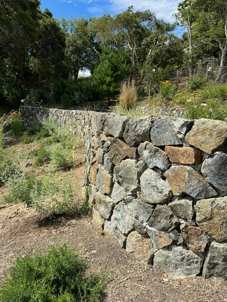 Affordable lawn care service in San Jose, CA by Los Reyes Landscapes