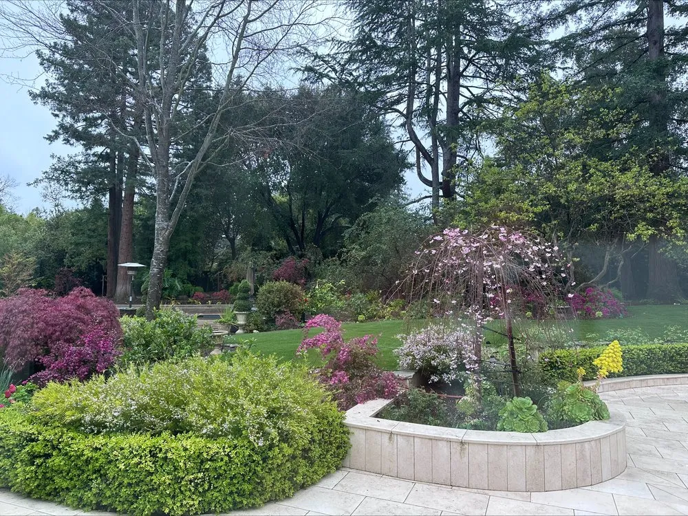 Expert landscaping services for homes in San Jose, CA by Los Reyes Landscapes