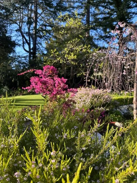 Custom landscaping services near you across San Jose, CA - Los Reyes Landscapes