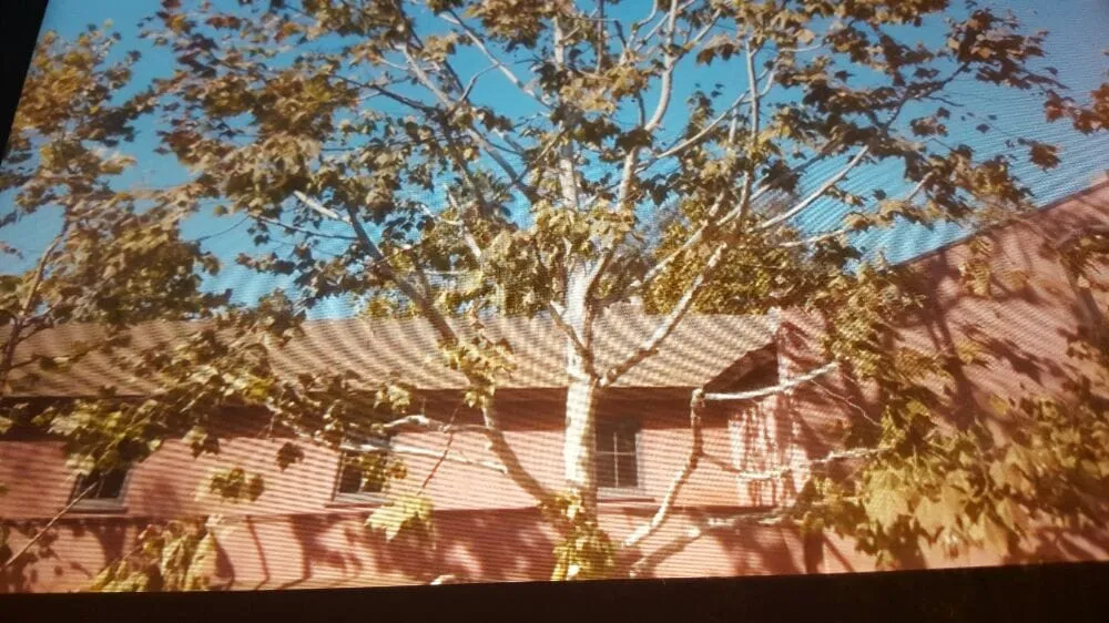 Top-rated lawn care service near you across Azusa, CA - Los Rios Landscaping