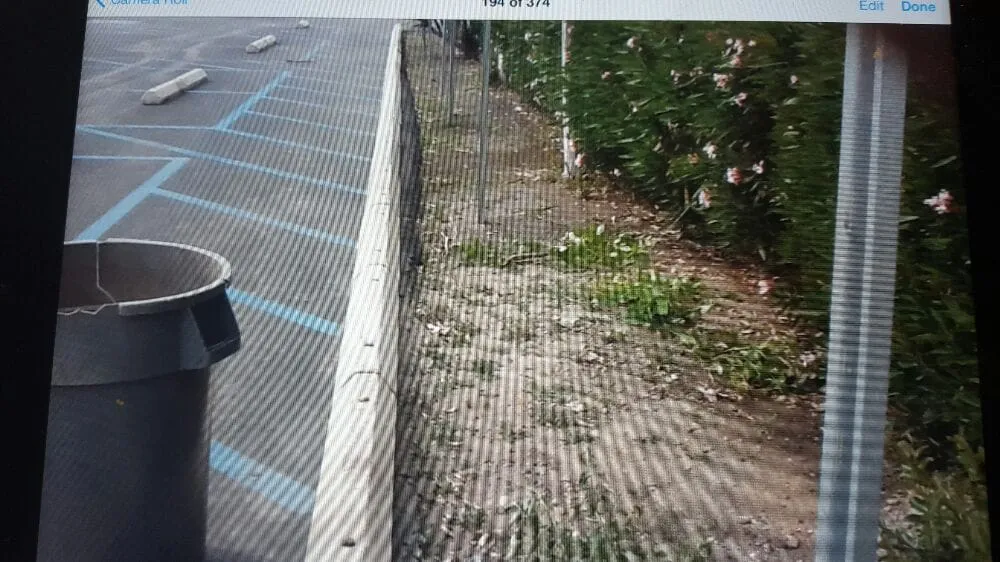 Professional outdoor landscaping experts serving Azusa, CA - Los Rios Landscaping