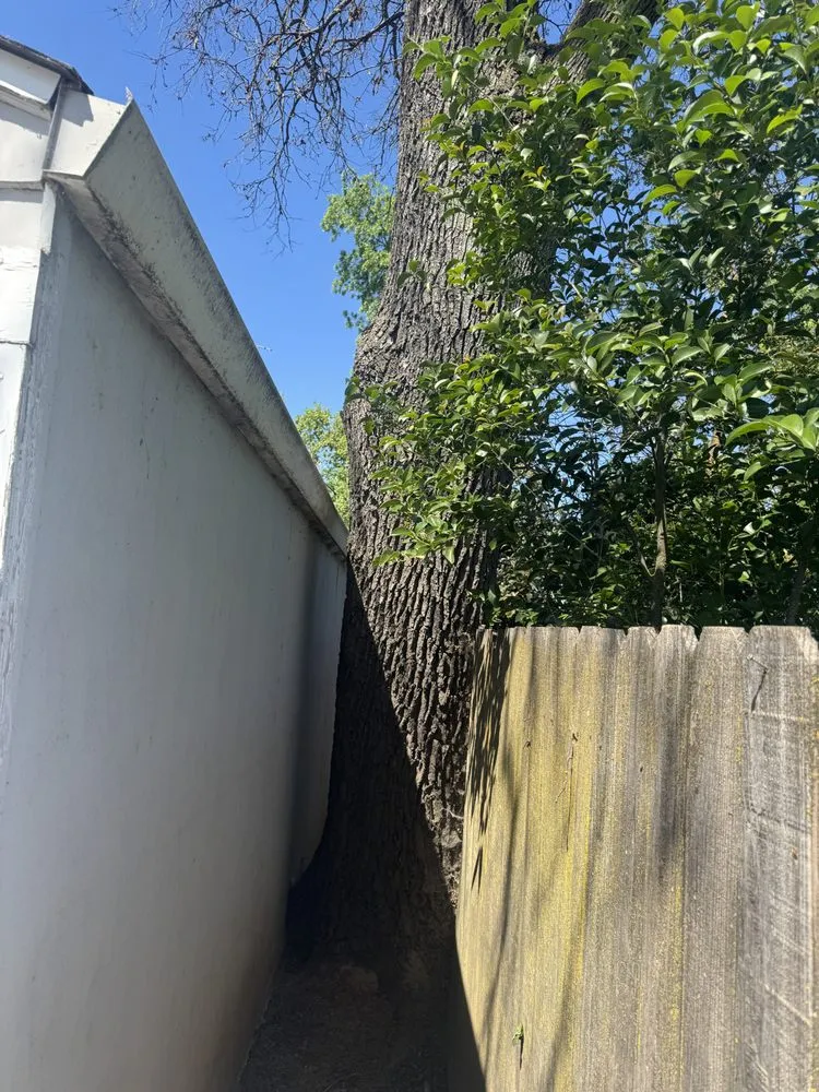 Trusted landscaping services in Sacramento, CA - Los Robles Landscaping and Tree