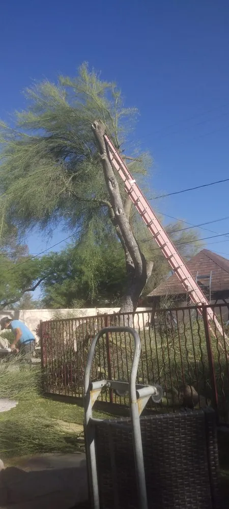 Local outdoor landscaping in Tucson, AZ by Los Sauces Landscaping and Tree Services