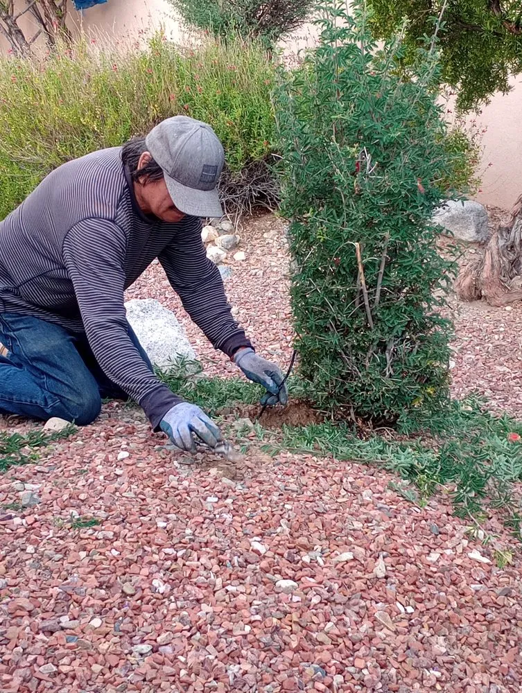 Reliable yard maintenance for residential properties in Tucson, AZ by Los Sauces Landscaping and Tree Services