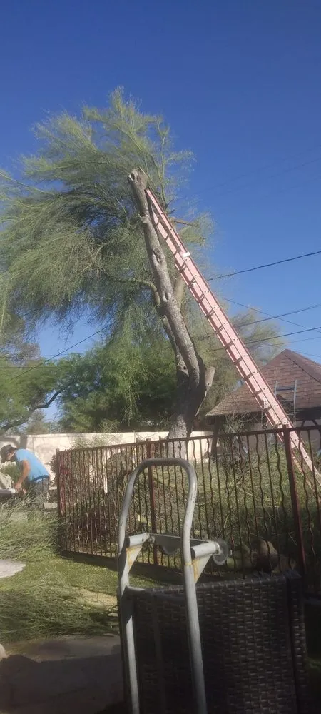 Professional landscape design near you in Tucson, AZ by Los Sauces Landscaping and Tree Services