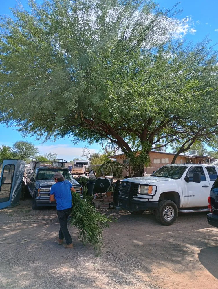 Custom landscape design experts serving Tucson, AZ - Los Sauces Landscaping and Tree Services