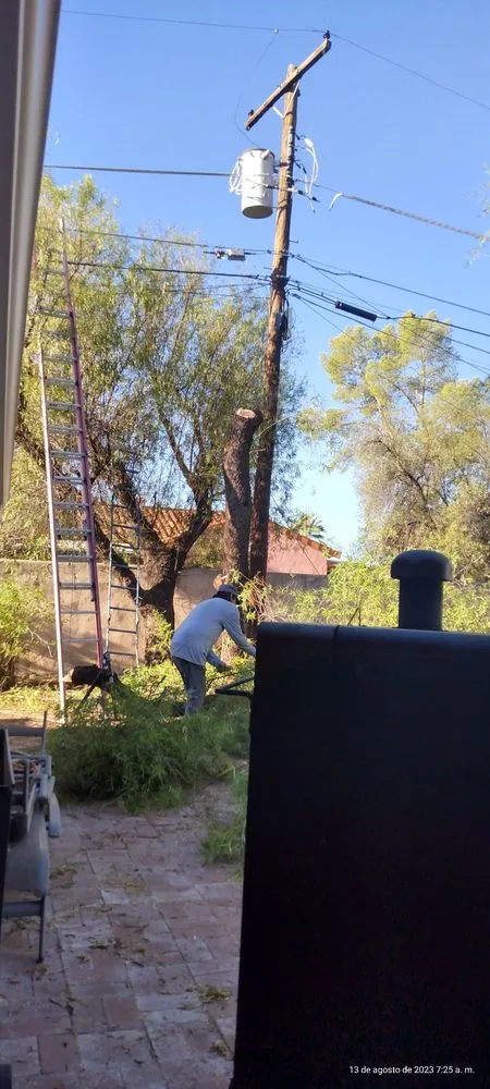 Trusted lawn care service for residential properties in Tucson, AZ by Los Sauces Landscaping and Tree Services